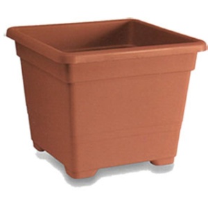 ΓΛΑΣΤΡΑ BEGONIA 25x25x19ΕΚ